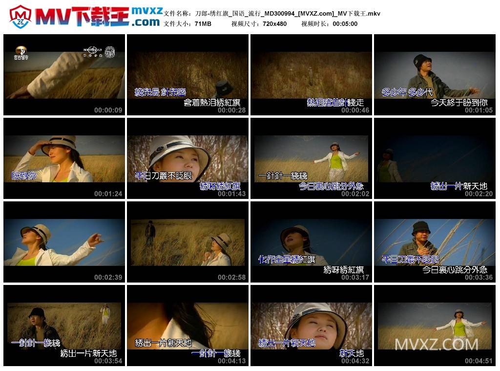 刀郎-绣红旗_国语_流行_MD300994